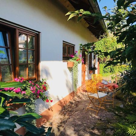 Ferienhaus Zirbe Rickenbach  외부 사진